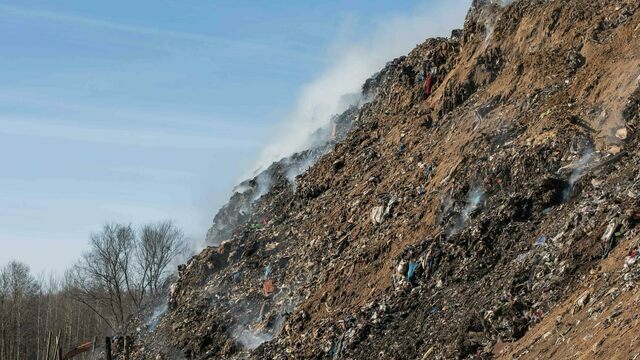 Власти Калининградской области пообещали навести порядок на 13 тысячах мусорных площадках. Через три года
