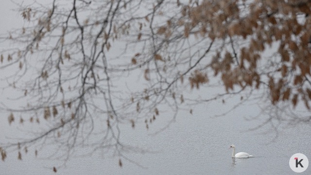 Погода в Калининграде и области в воскресенье