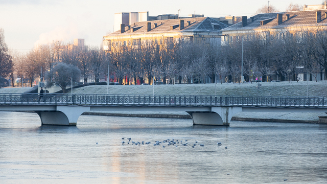 Первые «призрачные» сценарии: калининградские синоптики рассказали, ждать ли холодов к концу года