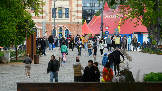 «Карту калининградца» хотят запустить к 4 июля и навести с её помощью порядок в цифровом зоопарке региона