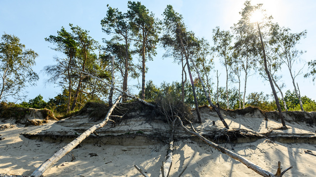 Куршская коса не справляется с потоком гостей со всей России