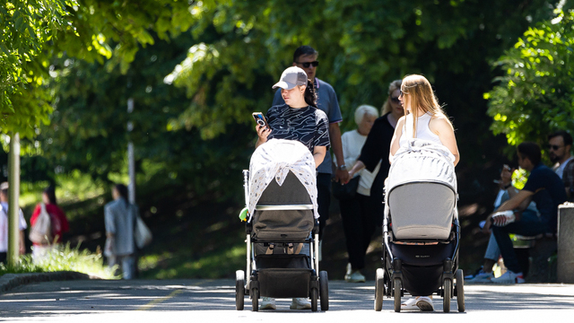 В Калининградской области родившим в 2026 году мамам будут выдавать сертификаты на 10 тысяч рублей   