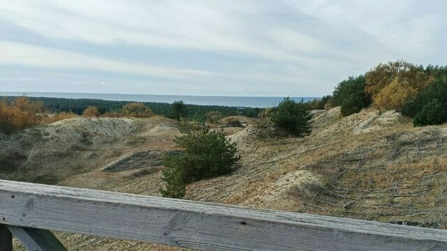 Куршская коса не справляется с потоком гостей со всей России