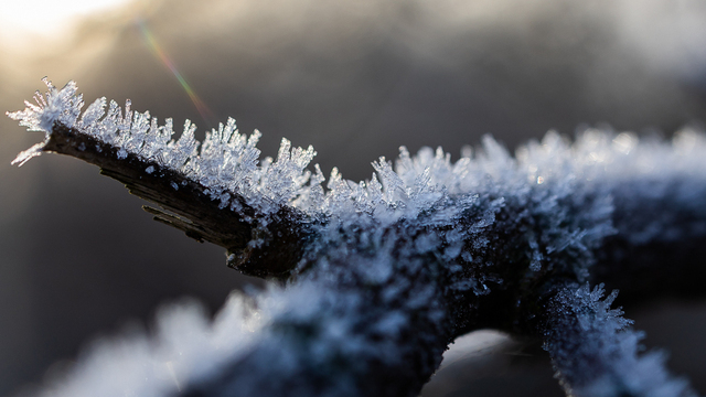 Не ходи в гости без подарков и не ругай детей: приметы на 19 декабря