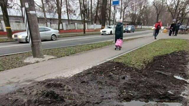 На Емельянова в Калининграде изуродовали газоны (фото)  