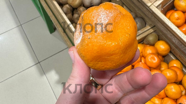 Калининградка заставила супермаркет навести чистоту, сфотографировав гнилые овощи и фрукты    