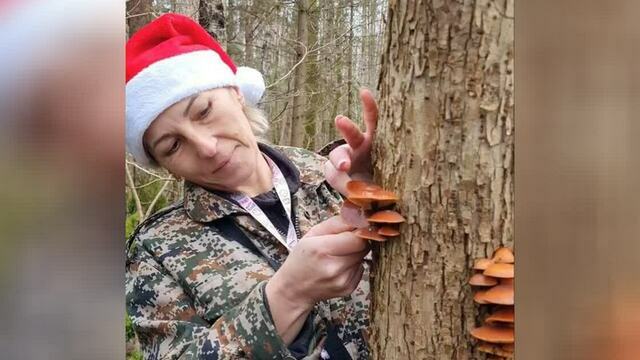 За грибами в шапке Деда Мороза: калининградцы набрали опят в предновогоднюю неделю (фото)