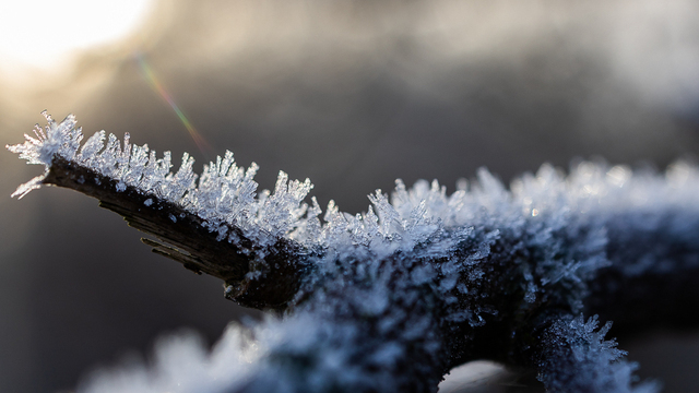 Не пей из чужой кружки и не рассказывай секреты незнакомцам: приметы на 23 декабря