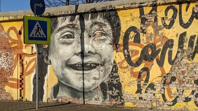 Калининградские стихийные муралы хотят поставить на учёт  