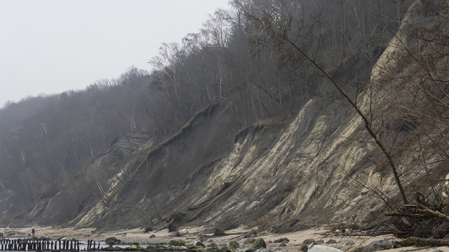 Берегозащиту в Филинской бухте проведут с учётом миграции кумжи  