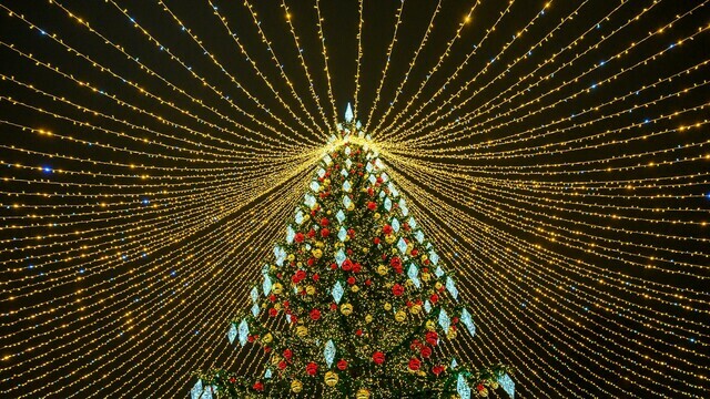 На шатре возле главной ёлки Калининграда потухли некоторые сектора