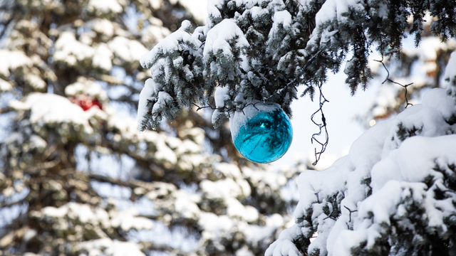 Калининградские синоптики дали обнадёживающий прогноз на Новый год 