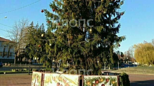 И вот она, убогая, на праздник к нам пришла: в Нестерове жители решили скинуться на украшение новогодней ёлки 