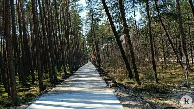 Сроки запуска велодорожки на Куршской косе снова перенесли, нацпарк достроит её за свой счёт