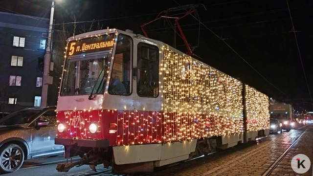 Новогоднее настроение на рельсах: в Калининграде вышли трамваи со Снегурочкой (фото, видео)