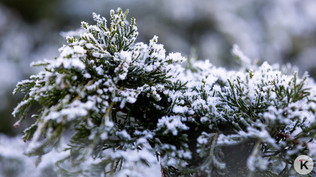 Температура отрицательная: погода в Калининграде и области в четверг