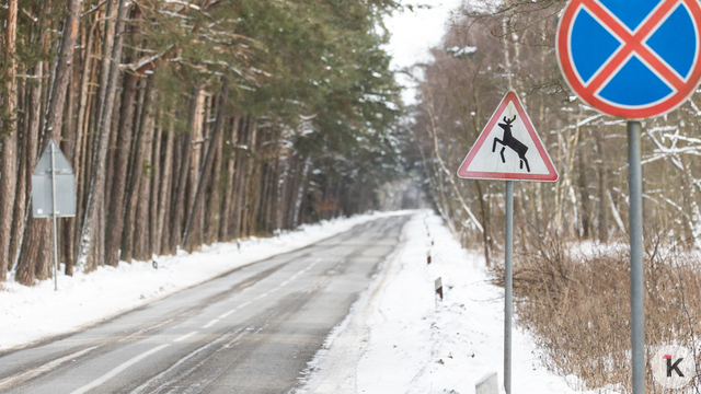 На высоте Мюллера на Куршской косе расширят парковку, а для пешеходов сделали кольцевой маршрут