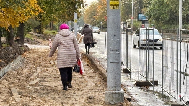 Рольбинов нашёл в Калининграде тротуары, по которым страшно ходить