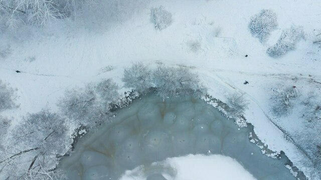 Снег будет, но какой: синоптики уточнили, удастся ли калининградцам встретить Новый год с сугробами