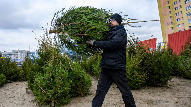 Калининград готовится к Новому году