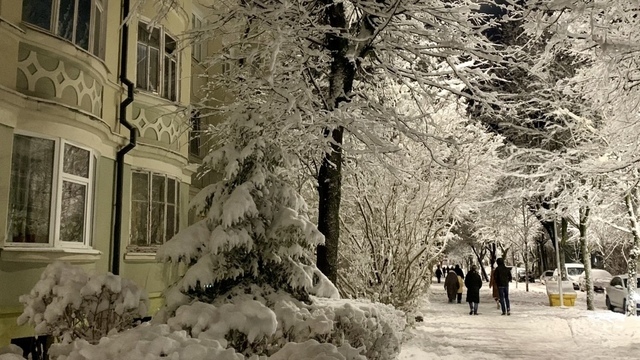 После шторма вернется зима: Новый год калининградцы встретят со снегом