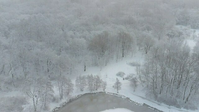 Не пей спиртное и не подкармливай животных на улице: приметы на 27 декабря