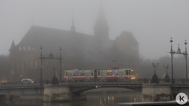 В мэрии назвали точную дату запуска трамвая №5 до Бассейной и анонсировали изменение маршрута автобуса №18