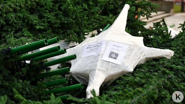 «Новый год придёт на диво даже без корпоратива!»: музыкальный дайджест калининградских новостей за неделю (видео)  