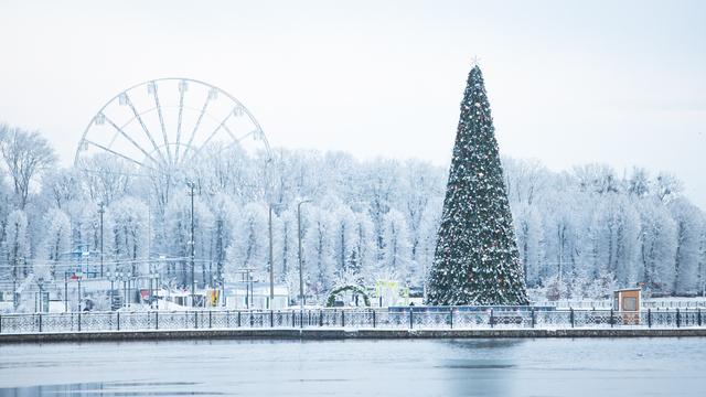 Калининград ждёт самый снежный Новый год за последние 20 лет — синоптики 