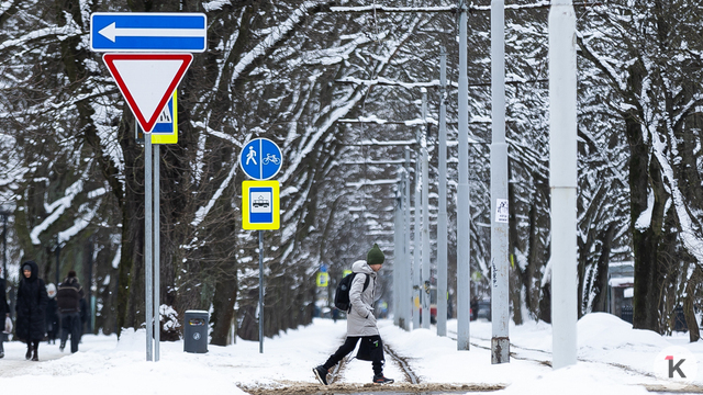 Заряды крупы и мокрого снега: погода в Калининграде и области в воскресенье