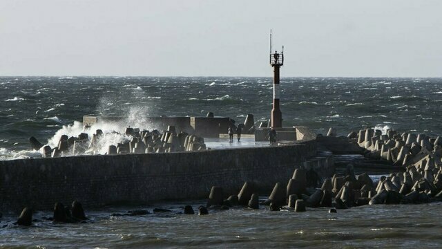 МЧС: в Калининградской области 30 декабря ветер усилится до 28 м/с