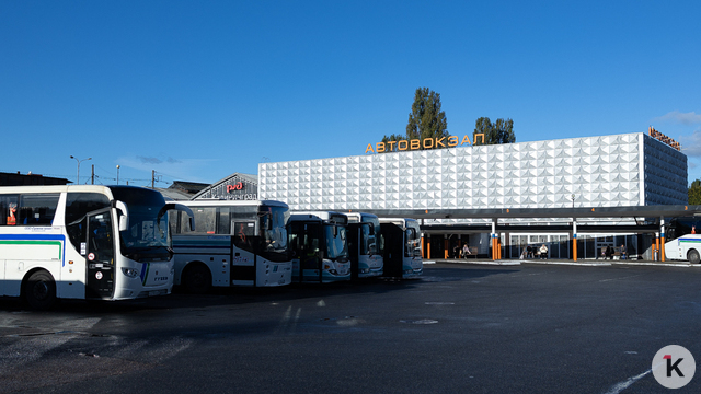 На новогодние праздники в Калининградской области не будут ходить 15 междугородних автобусов: список отменённых рейсов