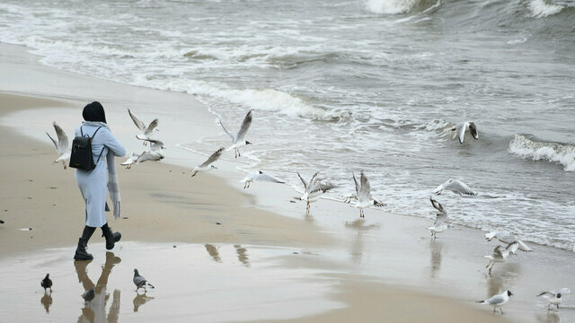 Итоги-2025: гостей приехало меньше, чем ожидали