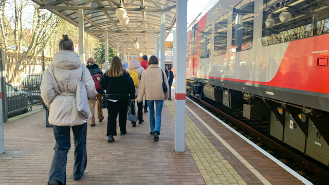 С 31 декабря по 11 января у «Ласточек» – новогоднее расписание