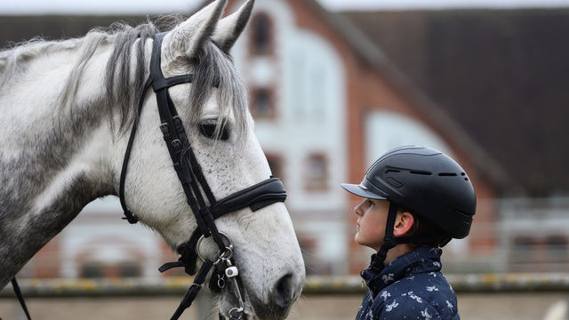 Когда ты предан лошади, она становится преданной тебе 