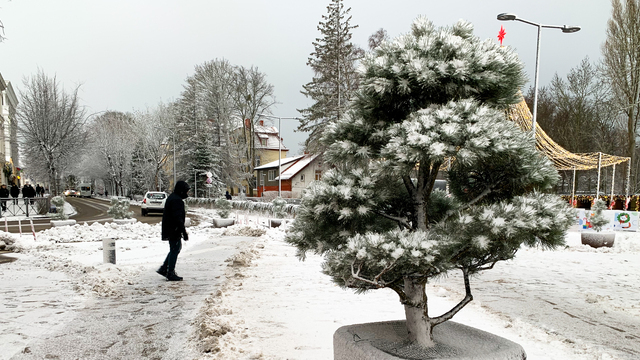 Во власти шторма: Зеленоградск замело снегом (фото)