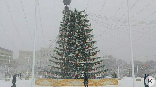 В мэрии Калининграда прокомментировали ситуацию с падением части ёлки на площади Победы