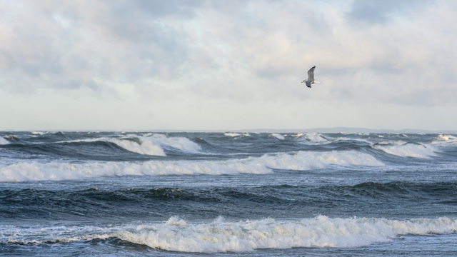 Январь без сильных морозов: народные приметы калининградской зимы