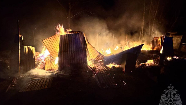 Ночью под Светлым пожарные потушили горящую хозпостройку и предотвратили взрыв газа (фото, видео)