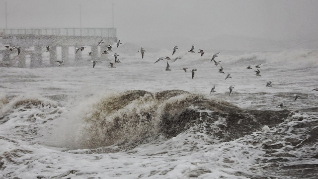 Фото дня: предновогодний шторм и бушующее море в Зеленоградске 