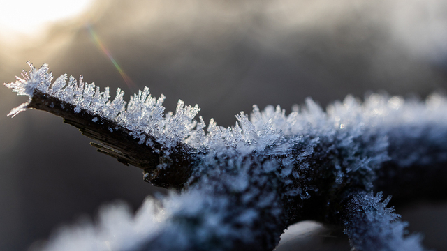 Не матерись и не занимай деньги у знакомых: приметы на 31 декабря