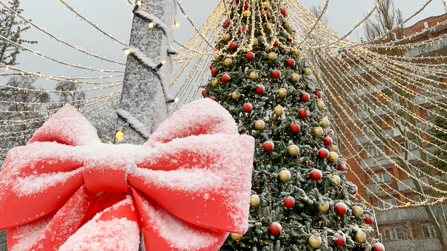 Зеленоградск снежный