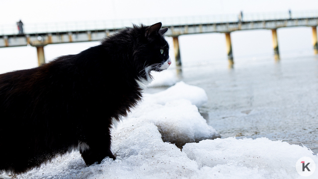 Новогодняя ночь в Калининградской области обещает быть самой морозной с начала зимы 