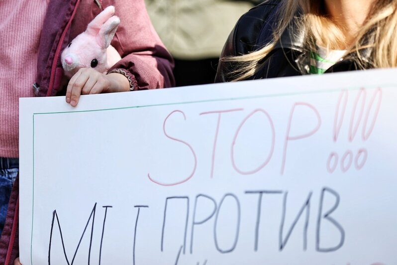 Гуманного умерщвления нет - это всегда боль и мучение | Фото: Александр Подгорчук