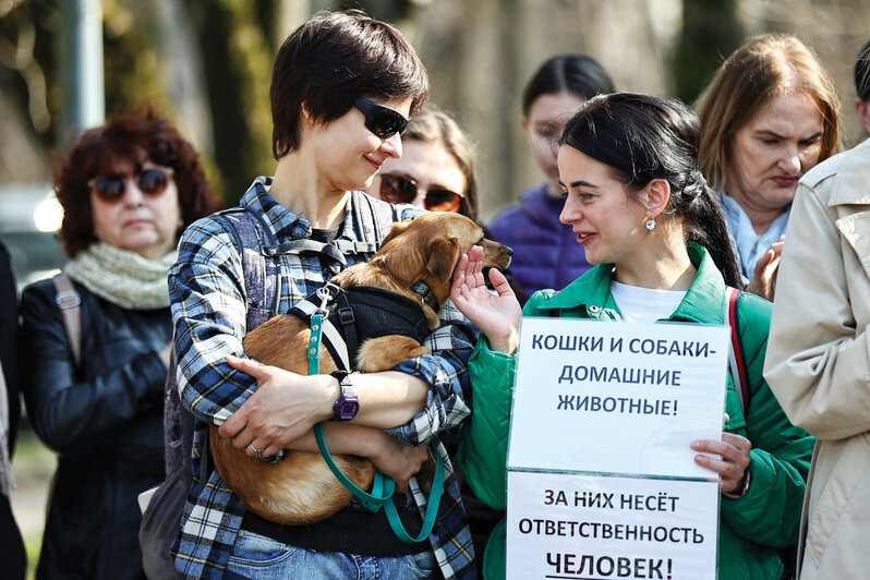 Собаки водят слепых, находят взрывчатку и неустанно дарят радость общения | Фото: Александр Подгорчук