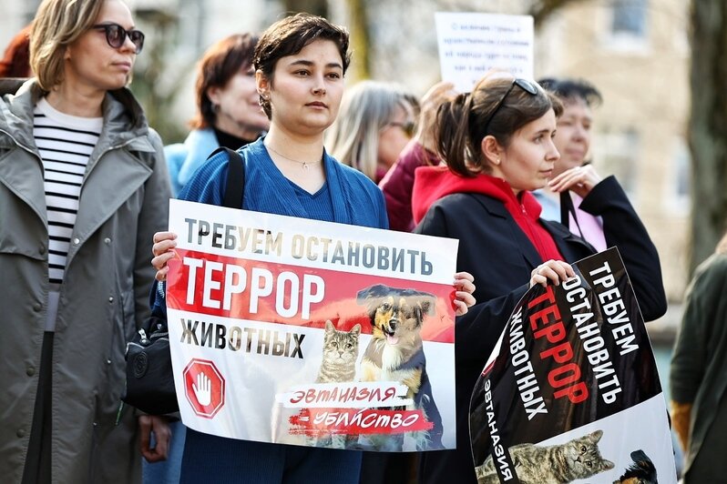 Гуманного умерщвления нет - это всегда боль и мучение | Фото: Александр Подгорчук