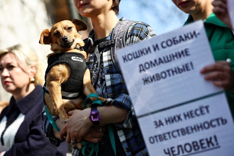 Гуманного умерщвления нет - это всегда боль и мучение | Фото: Александр Подгорчук
