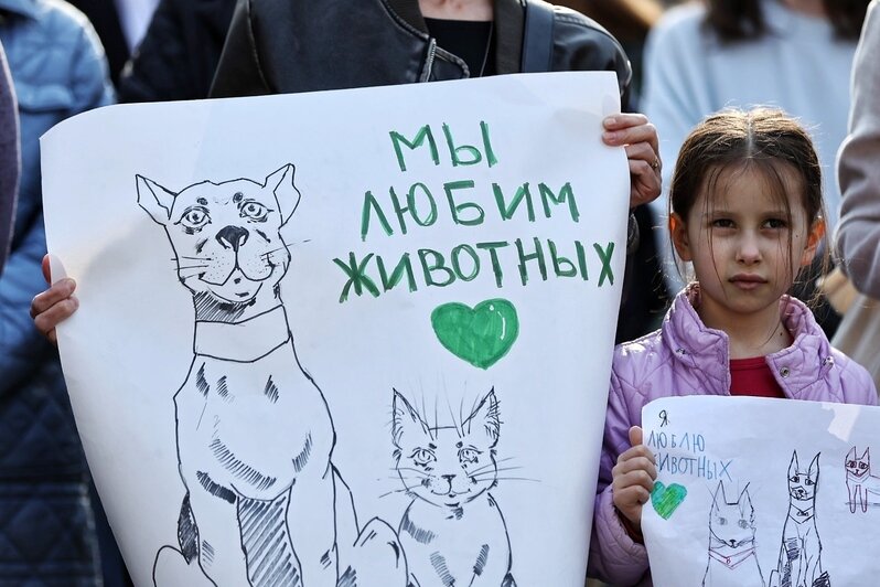 Гуманного умерщвления нет - это всегда боль и мучение | Фото: Александр Подгорчук