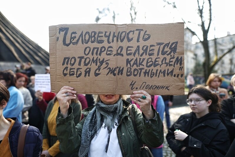 Гуманного умерщвления нет - это всегда боль и мучение | Фото: Александр Подгорчук