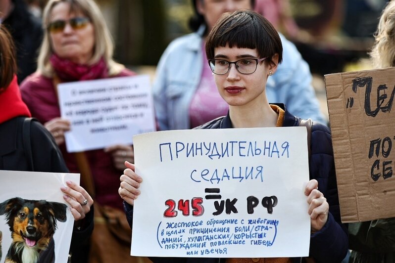 Гуманного умерщвления нет - это всегда боль и мучение | Фото: Александр Подгорчук